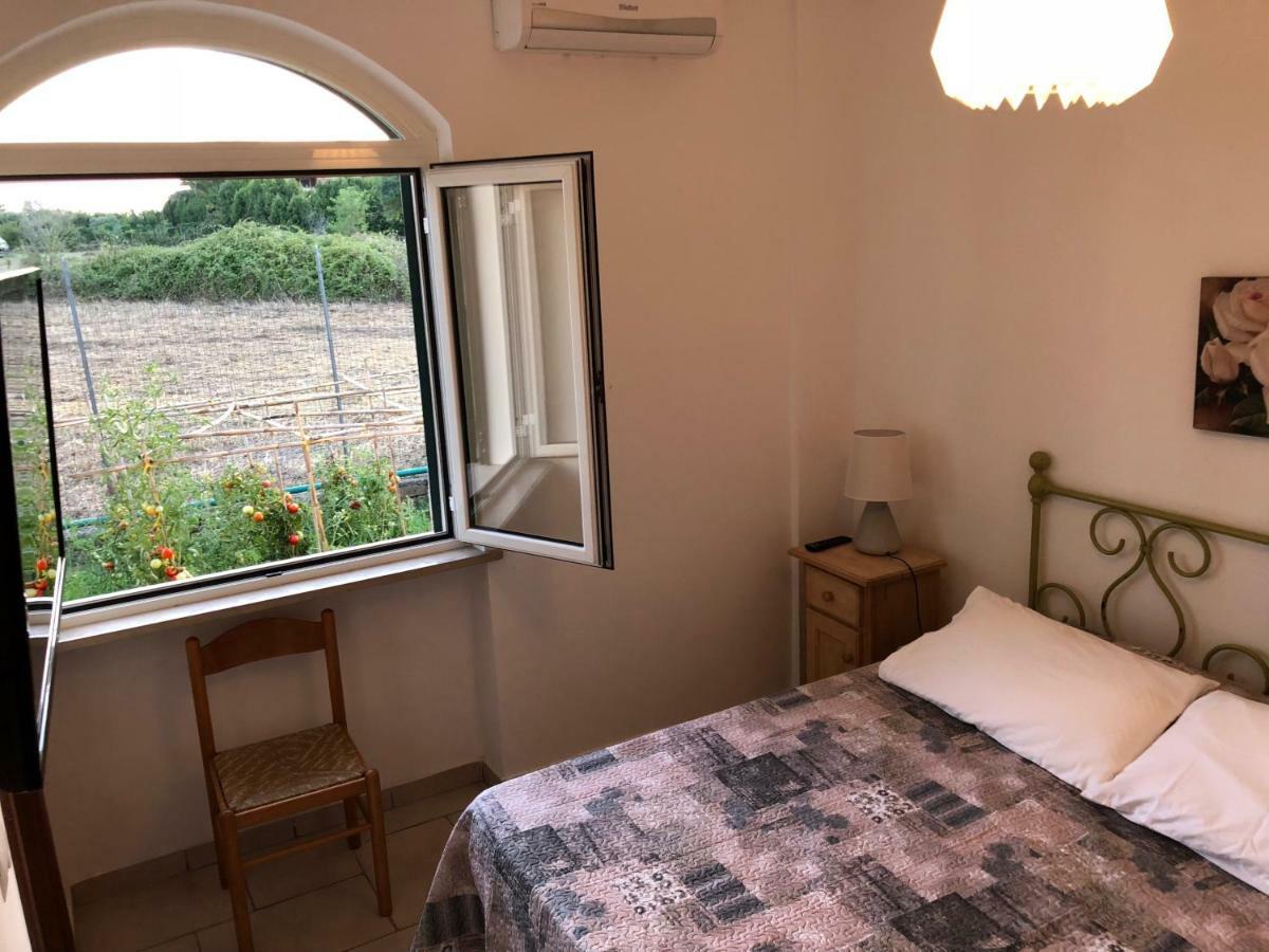 Agriturismo "Lo Zafferano" Aprilia Exterior foto